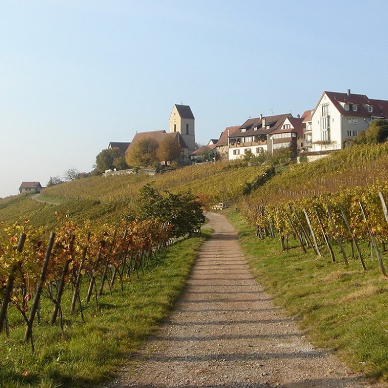 Gourmet-Fastenwoche im Dreiländereck